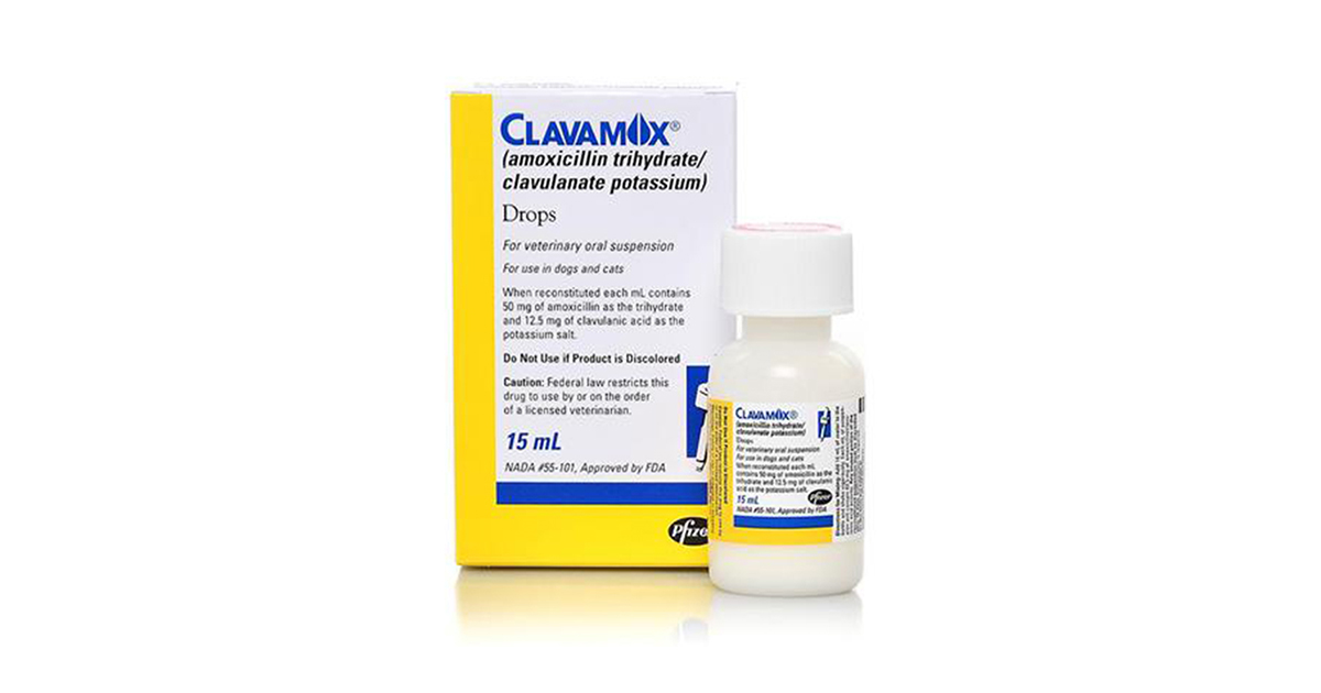 Clavamox Drops Best Equipment Center Co Ltd Bec